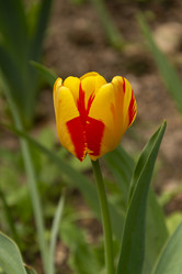 Similar image 21825898