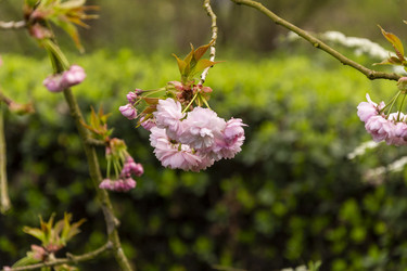 Similar image 21825902