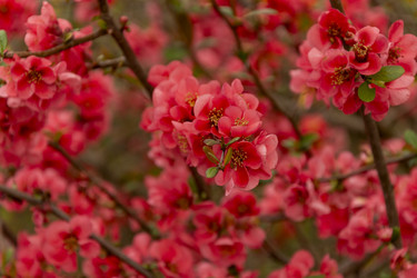 Similar image 21825903