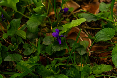 Similar image 21825907