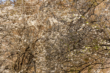 Similar image 21825911