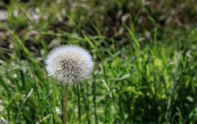 Similar image 21826253