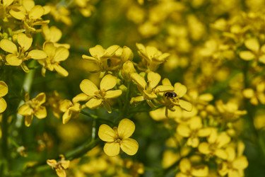 Similar image 21825755