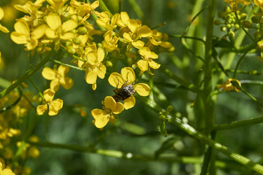 Similar image 21825757