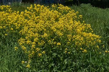 Similar image 21827144