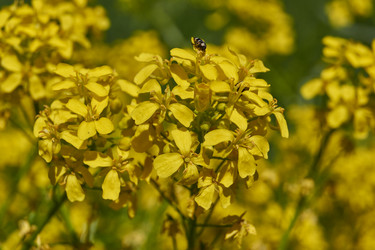 Similar image 21825758