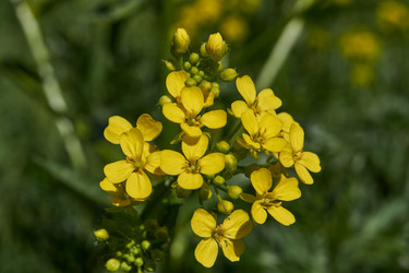 Similar image 21827806