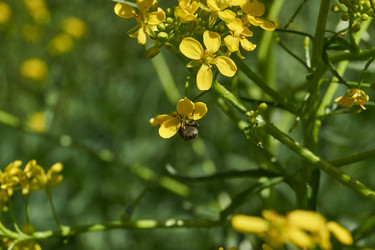 Similar image 21827146