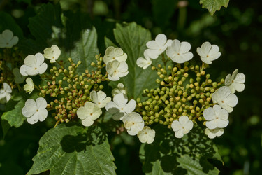 Similar image 21825759