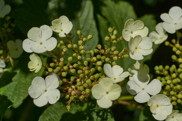 Similar image 21827148