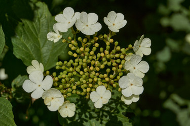 Similar image 21825760