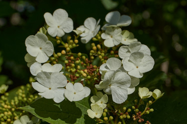 Similar image 21827807