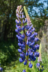 Similar image 21827149