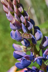 Similar image 21825761