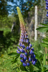 Similar image 21827808