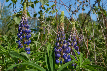 Similar image 21825924