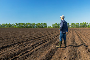 Similar image 21825934