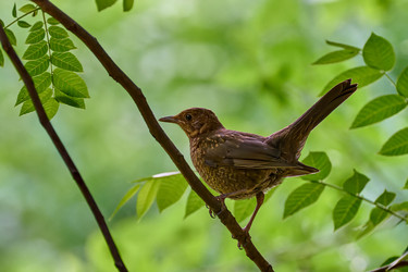 Similar image 21825938