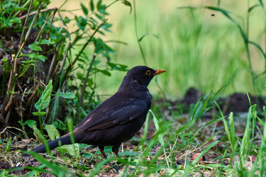 Similar image 21825940