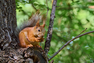 Similar image 21825941