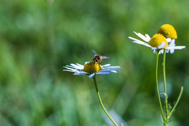 Similar image 21825762