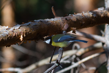 Similar image 21825764