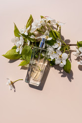 Similar image 21826312