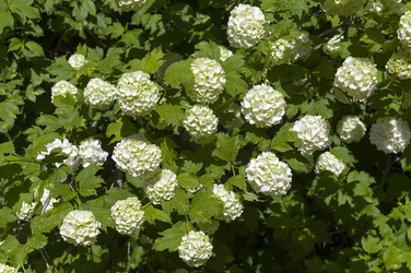 Similar image 21825949