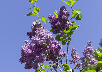 Similar image 21825952