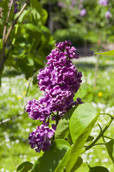 Similar image 21825953