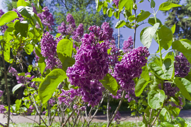 Similar image 21825954