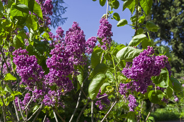 Similar image 21825955