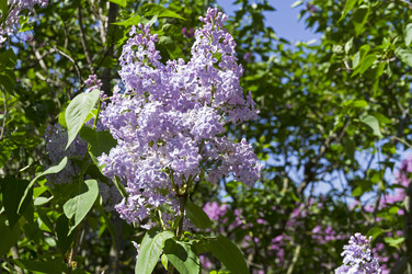 Similar image 21825956