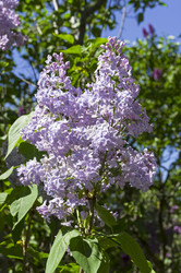 Similar image 21825957