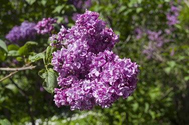 Similar image 21825958