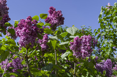 Similar image 21825959