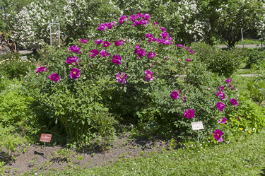 Similar image 21825960