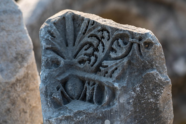 Similar image 21826541