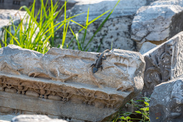 Similar image 21826543