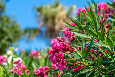 Similar image 21826553