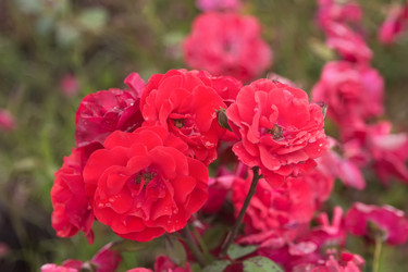 Similar image 21826320