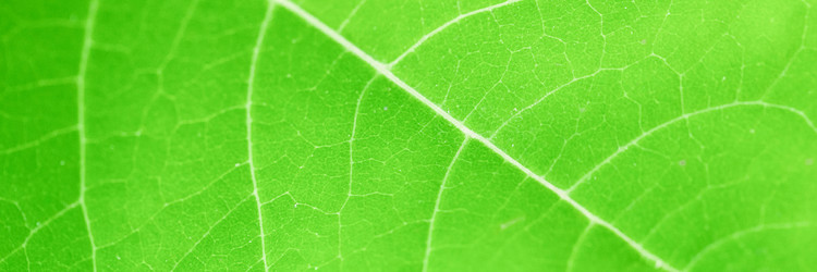 Similar image 21827810