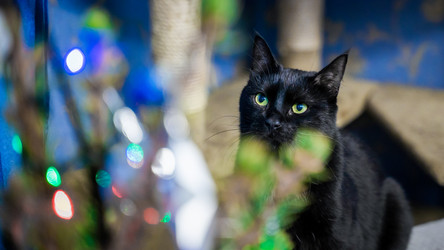 Similar image 21827816