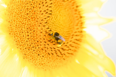 Similar image 21827820