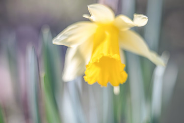 Similar image 21827821