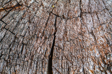 Similar image 21827823