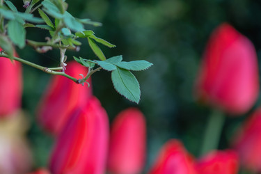 Similar image 21827825