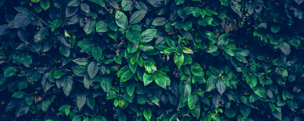 Similar image 21827827