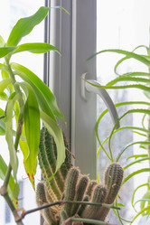 Similar image 21827829