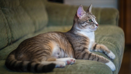 Similar image 21827834